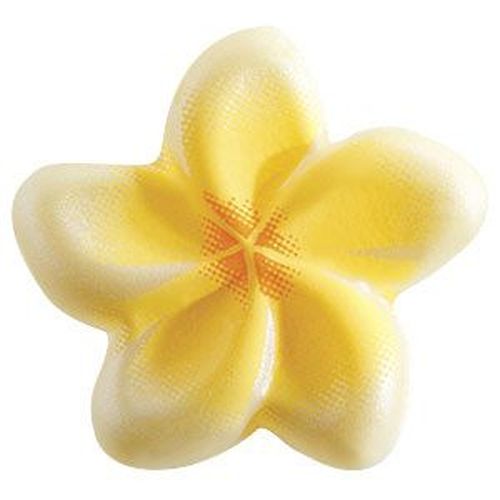 @ Schoko-Dekor Aufleger weiß Blumen 'Tiaré' (192 Stk) 